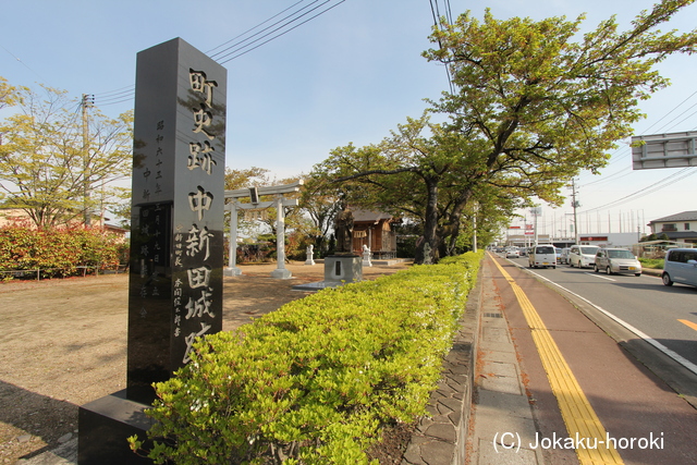 陸奥 中新田城の写真