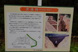 陸奥 中里城の写真
