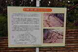 陸奥 中里城の写真