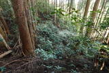 陸奥 名合沢館の写真