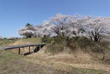 浪岡城写真