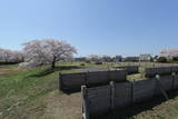 陸奥 浪岡城の写真