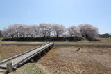 陸奥 浪岡城の写真