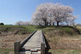 陸奥 浪岡城の写真