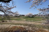 陸奥 浪岡城の写真