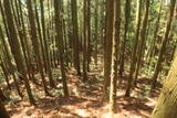 陸奥 七尾城の写真