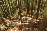 陸奥 七尾城の写真
