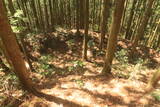 陸奥 七尾城の写真