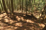 陸奥 七尾城の写真