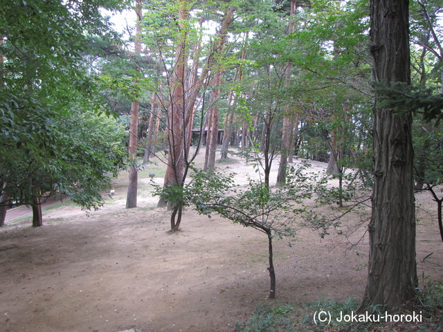 陸奥 成山館の写真