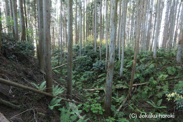 陸奥 白石城(仙台市)の写真