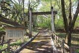 陸奥 野駄館の写真