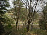 陸奥 野田城の写真