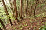 陸奥 大開城の写真