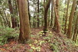 陸奥 大開城の写真