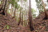 陸奥 大開城の写真