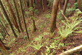 陸奥 大開城の写真