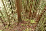 陸奥 大開城の写真
