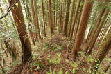 陸奥 大開城の写真