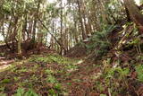 陸奥 大開城の写真