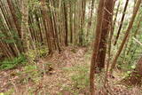 陸奥 大開城の写真