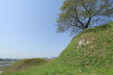 陸奥 大衡城の写真