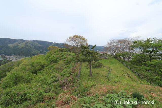 陸奥 大槌城の写真