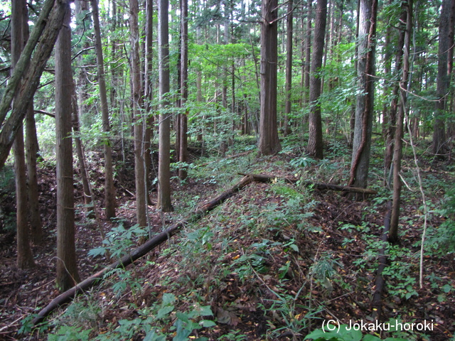 陸奥 鹿島館の写真