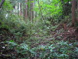 陸奥 鹿島館の写真