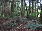 陸奥 鹿島館の写真