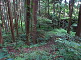 陸奥 鹿島館の写真