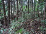 陸奥 鹿島館の写真