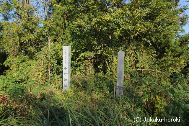 陸奥 小野城(桜ヶ森館)の写真