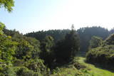 陸奥 小野城(桜ヶ森館)の写真