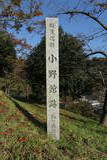 陸奥 小野城(梅ヶ森館)の写真