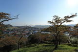 陸奥 小野城(梅ヶ森館)の写真