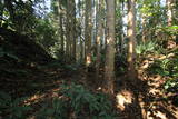 陸奥 小野城(梅ヶ森館)の写真