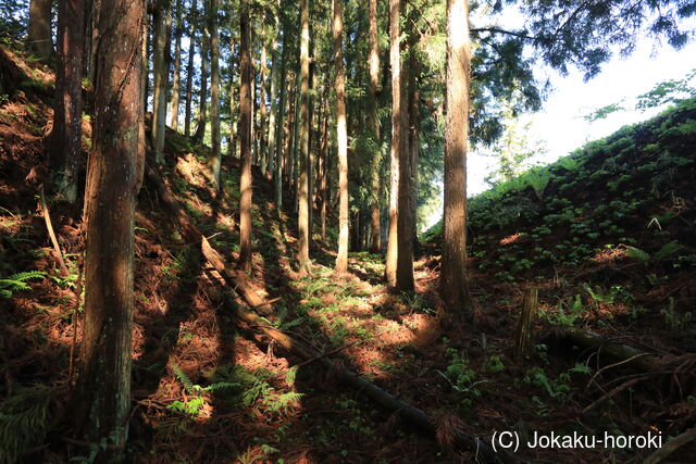 陸奥 小山田館の写真