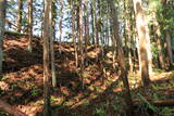 陸奥 小山田館の写真