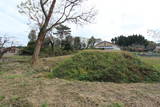 陸奥 坂元城の写真