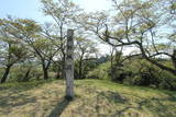 陸奥 桑折城の写真