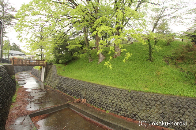 陸奥 佐沼城の写真