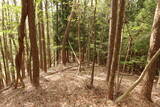 陸奥 佐々木館の写真