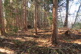 陸奥 毘沙門館(西和賀町)の写真