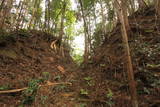 柴小屋館写真