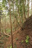 陸奥 柴小屋館の写真