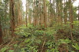 陸奥 柴小屋館の写真