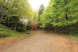 陸奥 柴崎城の写真