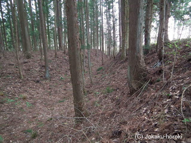 陸奥 館野館の写真