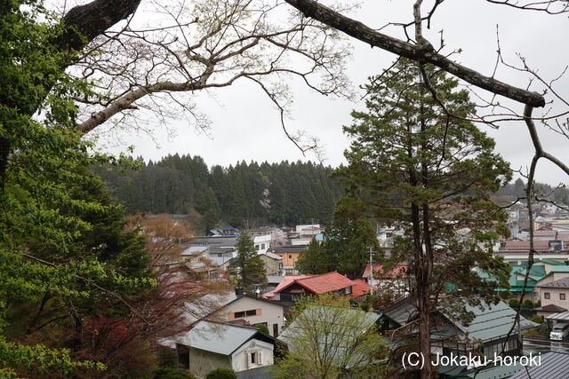 陸奥 矢館(七戸町)の写真